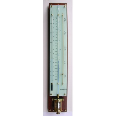 Mahonie-innovacelli barometer IN708 